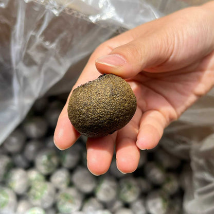 Sun-Dried Tianma Xiao Qing Gan (Small Green Citrus Puerh)