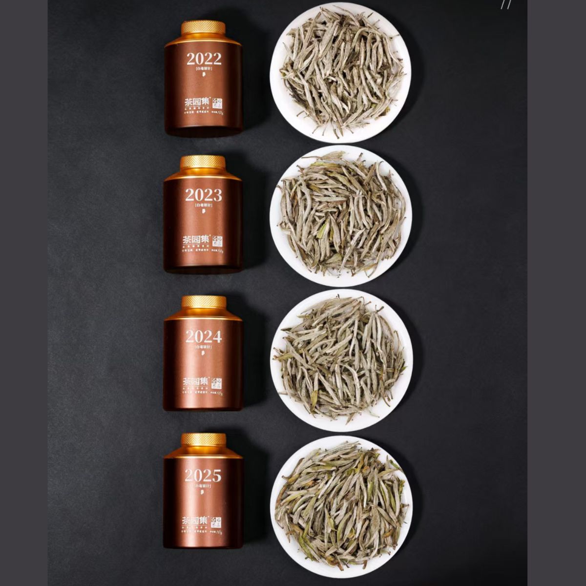 Decade Treasure Silver Needle Gift Collection 2016–2025 | Ten-Vintage Aged White Tea