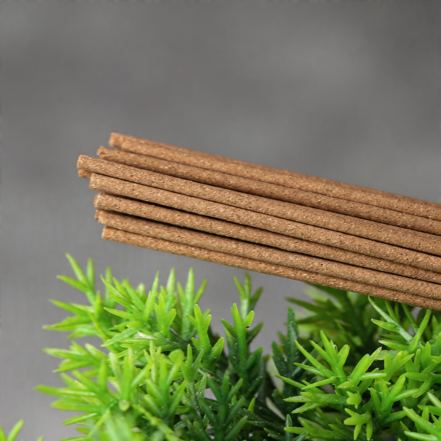 10A Grade Xue Zhong Chun Xin Handcrafted Incense – Clove, Agarwood & Sandalwood | 1 Tube 5g ~30 Sticks