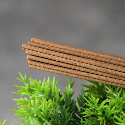 10A Grade Xue Zhong Chun Xin Handcrafted Incense – Clove, Agarwood & Sandalwood | 1 Tube 5g ~30 Sticks