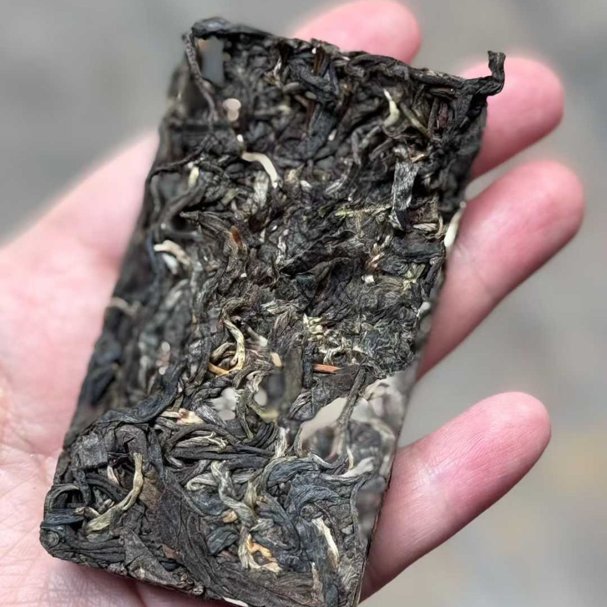 Bu Lai Sheng Puerh Tea - 120g Bulang Mountain Old Tree