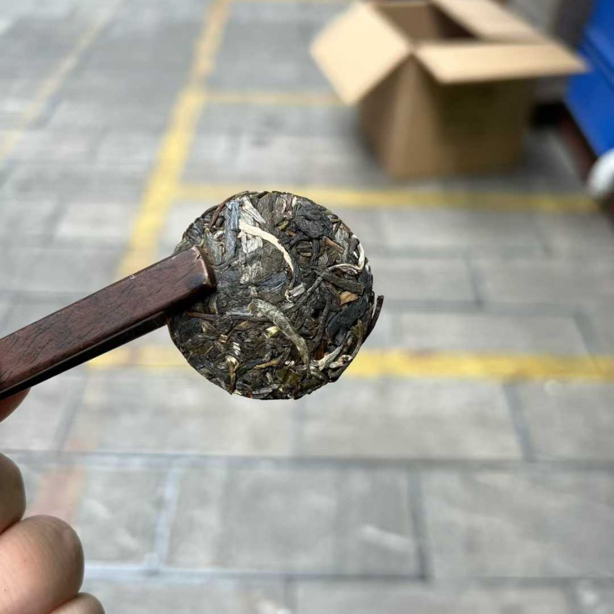 Fenghuangwo Exquisite Mini Cake Sheng Puerh 2022 - 56g / pack, 8g*7 pieces