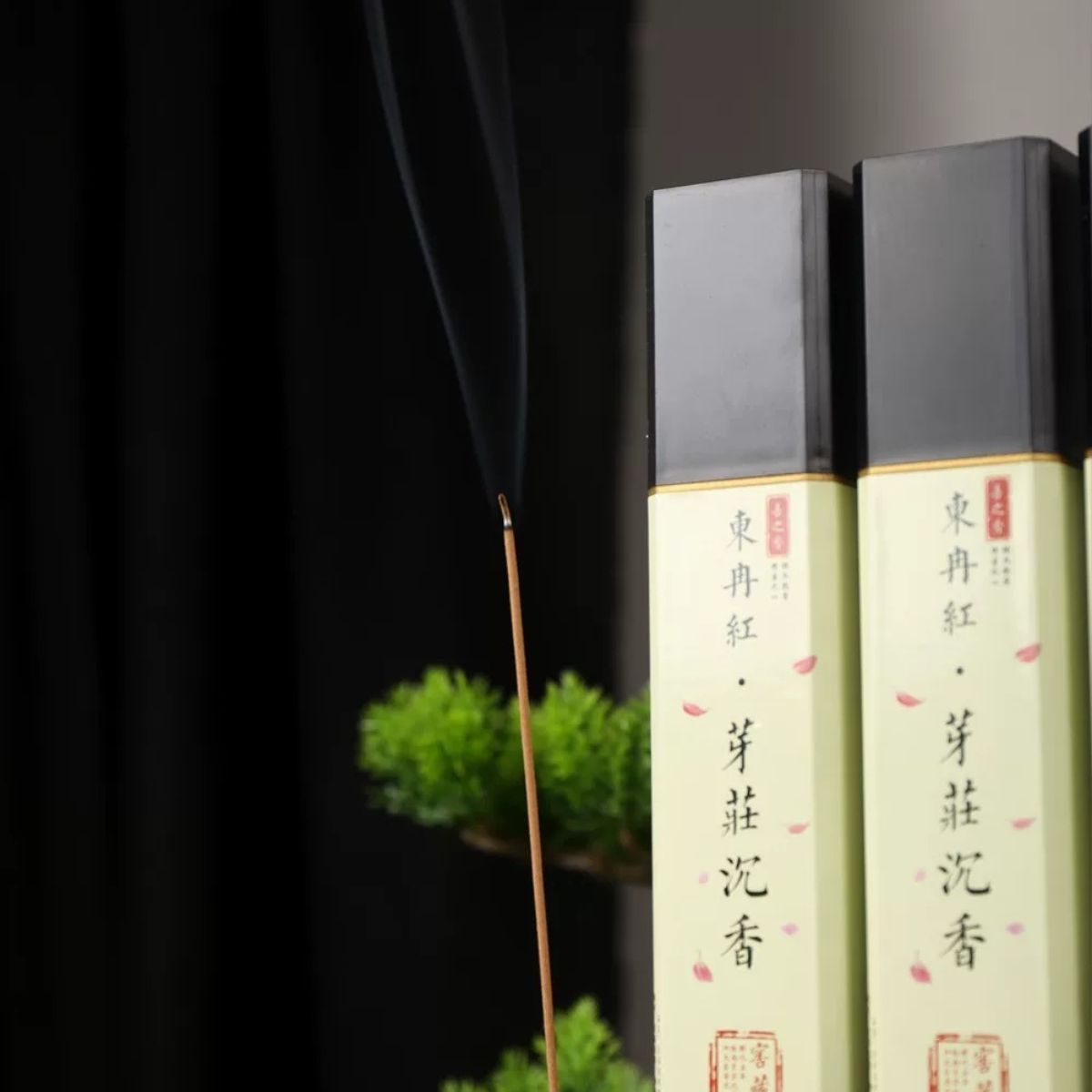 Nha Trang Oud Worm-Resin Incense Sticks – 5+ Year Aged, 93% Pure Agarwood (Box of ~210)