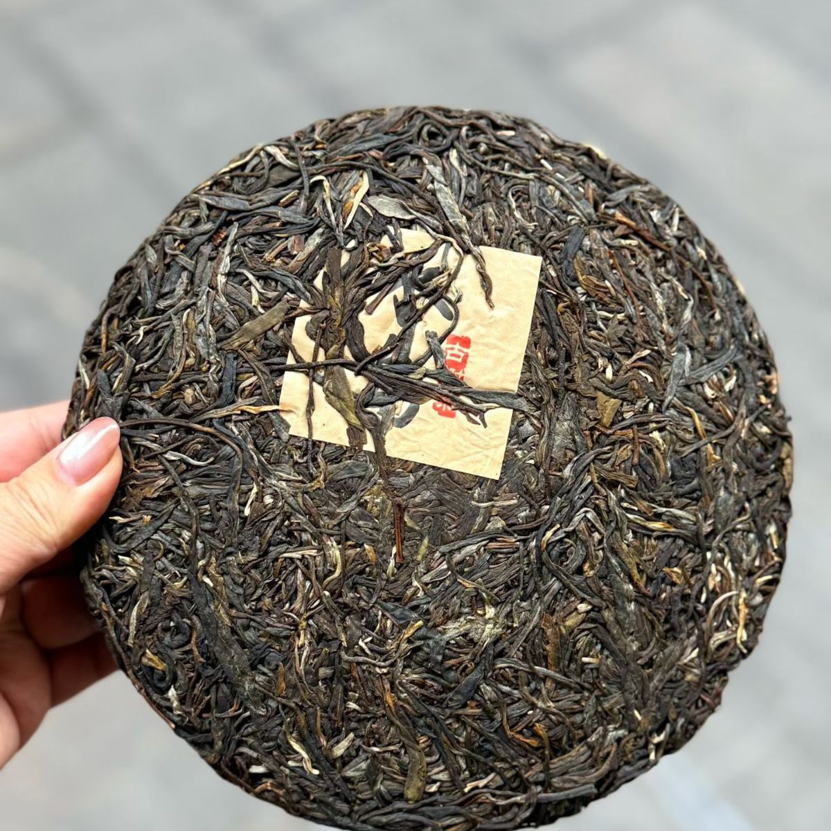 Bing Dao Ancient Tree Raw Pu-erh Tea Cake 2022 - 500g Lincang Mengku