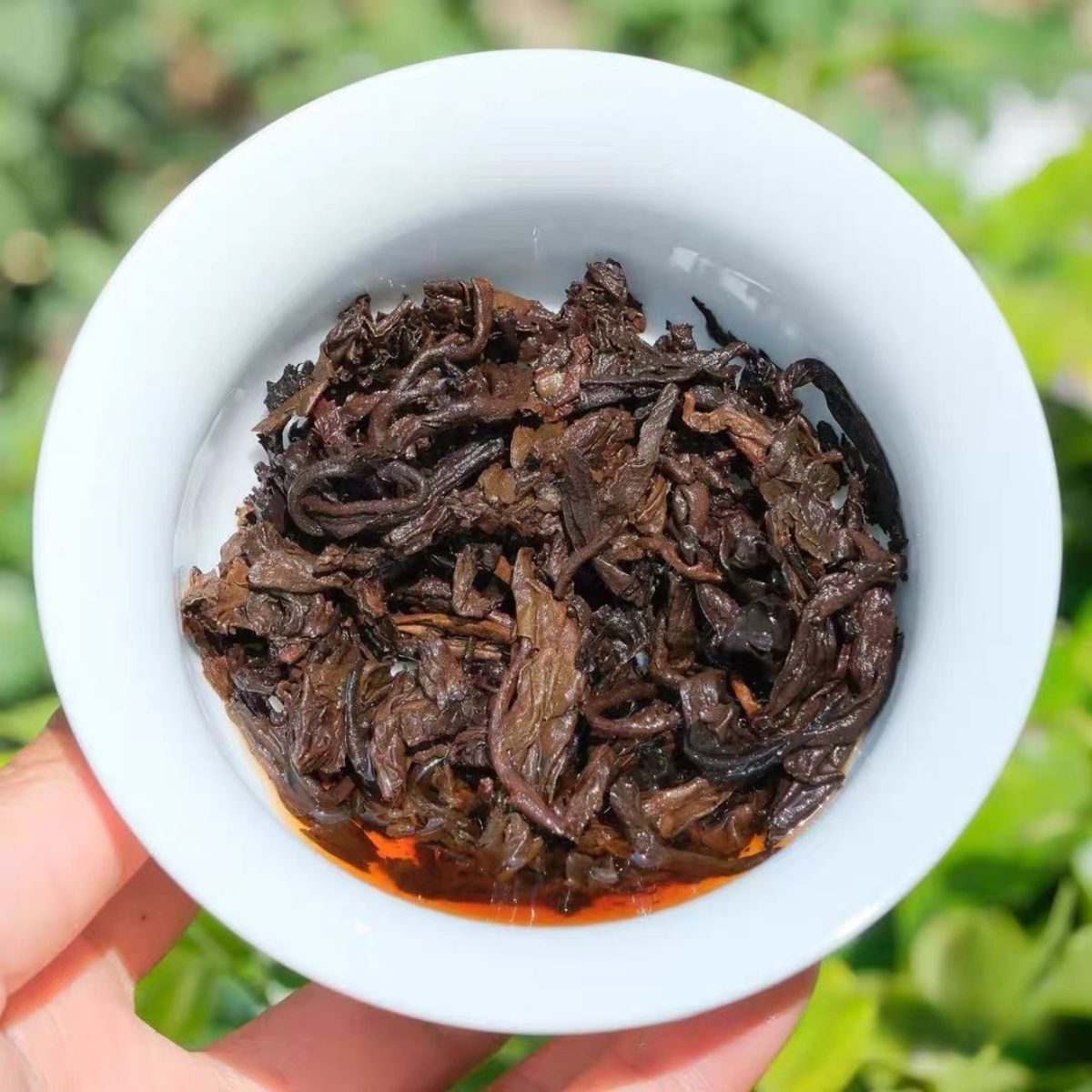 2006 Tu Lin Phoenix Iron Cake | Aged Ripe Pu-erh from Wuliang Mountain Ancient Trees — Nearly 20 Years of Cellaring, Rich & Sweet