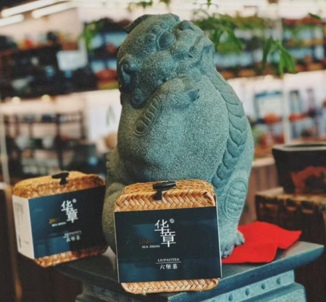 Huazhang 2007 Liubao Tea - Betel Nut Aroma