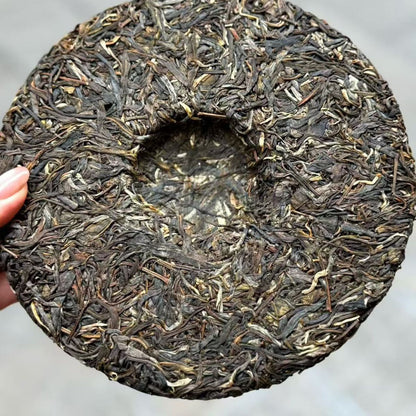 Bing Dao Ancient Tree Raw Pu-erh Tea Cake 2022 - 500g Lincang Mengku