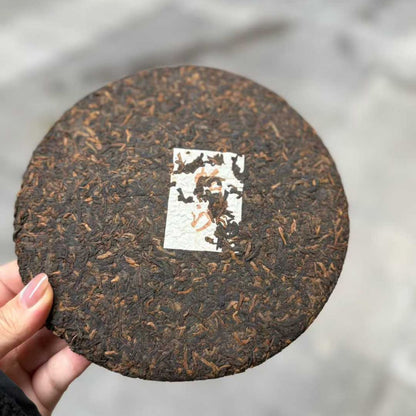 Pasha Aged Shou Puerh Tea Cake 2019 - 357g Big Tree