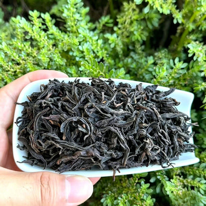 2026 High-Mountain Wild Black Tea | Explosive Peach & Floral Aroma | Smooth, Naturally Sweet (250g / 500g)
