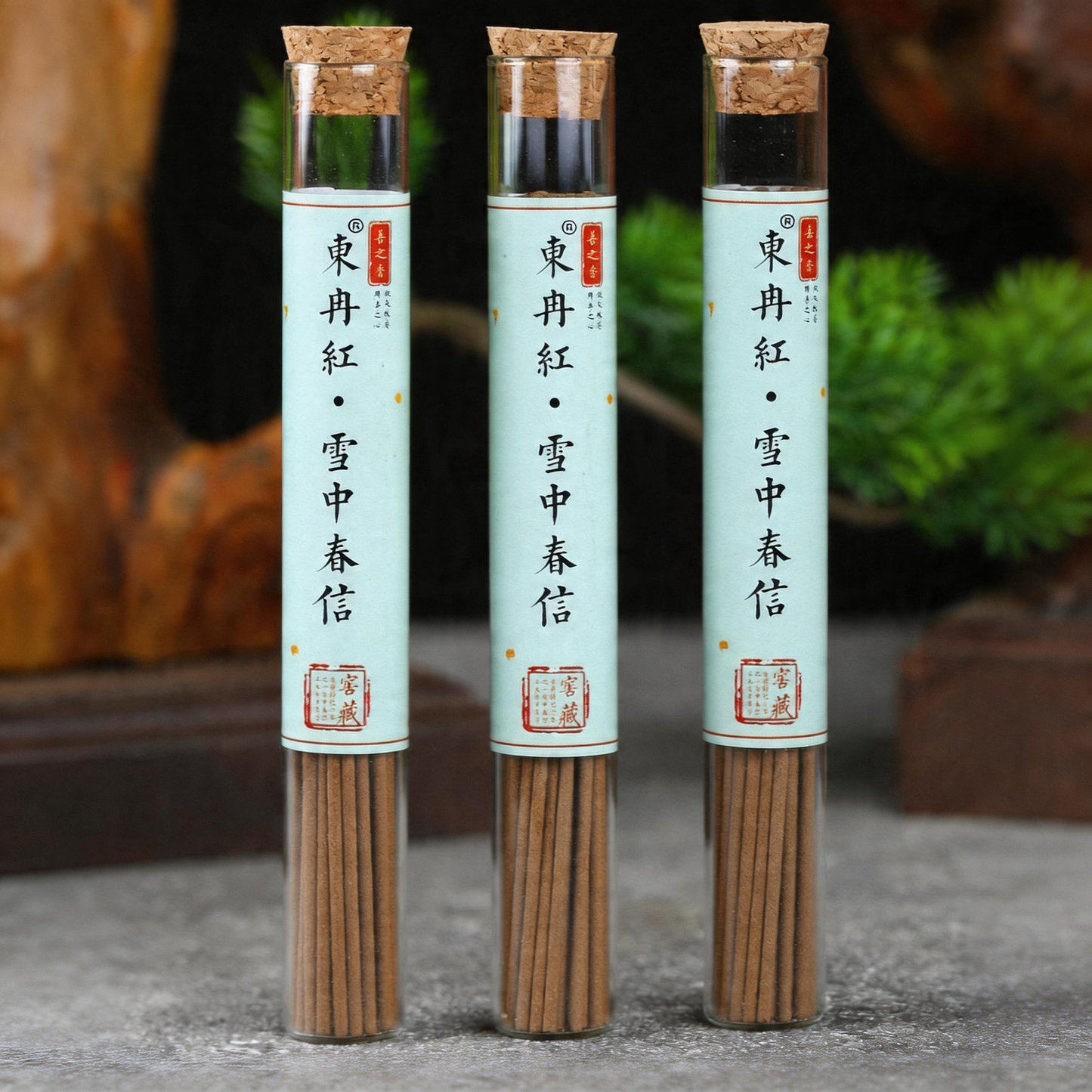 10A Grade Xue Zhong Chun Xin Handcrafted Incense – Clove, Agarwood & Sandalwood | 1 Tube 5g ~30 Sticks