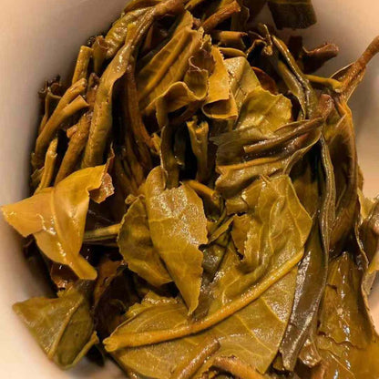 2021 Jingmai 300-Year Ancient Tree Raw Pu‑erh Cake – 357g